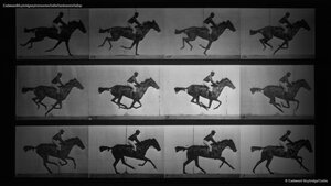 Eadweard Muybridge's photo series ‘Sallie Gardner at a Gallop’