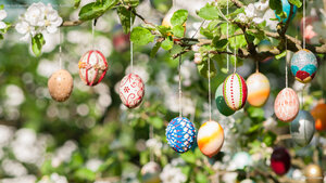 Viele bunt bemalte Ostereier an einem Apfelbaum