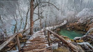 Elevated path in Plitvice Lakes National Park, Croatia