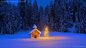 Snowy chapel with Christmas tree in the Bavarian Alps, Germany