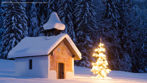Kapelle und Weihnachtsbaum in winterlicher Landschaft, Elmau, Bayern