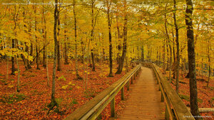 Escarpment Trail in Porcupine Mountains Wilderness State Park, Michigan