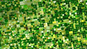 Farm plots in southwestern Kansas