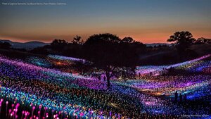 'Field of Light at Sensorio,' by Bruce Munro, Paso Robles, California