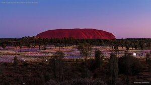 'Field of Light' by artist Bruce Munro at Uluru, Australia