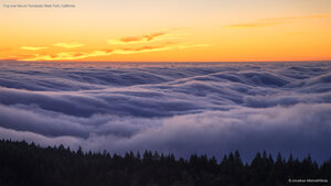 Fog over Mount Tamalpais State Park, California