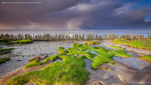 Wadden Sea coast, near Moddergat, Friesland, Netherlands