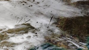 From NASA’s Terra satellite, an image of fallstreak holes in clouds over the southern United States