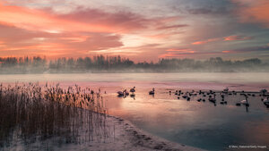 Gefrorener See bei Wintersonnenaufgang, Deutschland