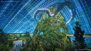 Gardens by the Bay nature park, Singapore