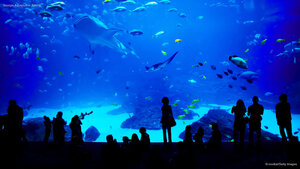 Georgia Aquarium in Atlanta