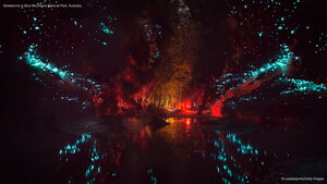 Glowworms in Blue Mountains National Park, Australia