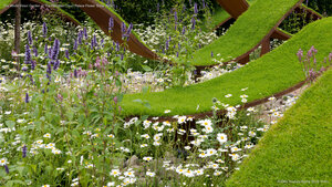 The World Vision Garden at The Hampton Court Palace Flower Show 2016