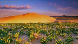 Hanford Reach National Monument, Washington State