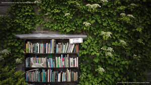 Second-hand books at the Hay Festival, Hay-on-Wye, Wales