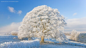 Hoarfrost and snow in the Cotswolds, England