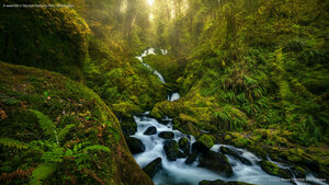 A waterfall in Olympic National Park, Washington