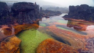 Hot springs on Mount Roraima, Venezuela