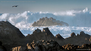 Huge waves crashing on rocks along Asilomar State Beach, Pacific Grove, California