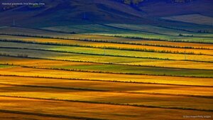 Hulunbuir grasslands, Inner Mongolia, China