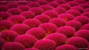 Incense factory in Xinhui District, Jiangmen City, Guangdong Province, China