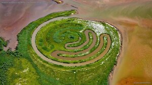 Installation by land artist Paul de Kort in De Biesbosch National Park, Netherlands