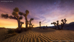 Joshua Tree National Park, California