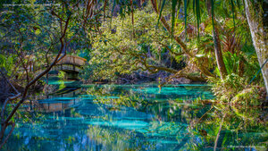 Juniper Springs in Ocala National Forest, Florida