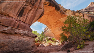 Kachina Bridge, Natural Bridges National Monument, Utah