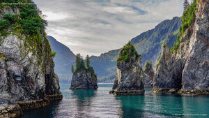 Spire Cove in Kenai Fjords National Park, Seward, Alaska