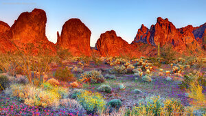 Kofa National Wildlife Refuge, Arizona