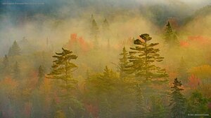 Lake Superior Provincial Park, Ontario, Canada