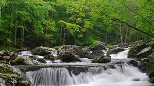 Little Pigeon River, Great Smoky Mountains National Park, Tennessee