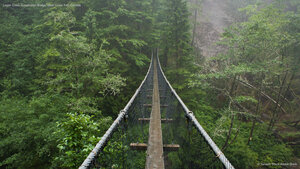 Logan Creek Suspension Bridge, West Coast Trail, Canada