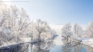 Frostbedeckte Bäume entlang des Flusses Loisach, Kochelsee, Bayern