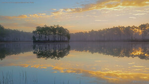 Long Pine Key in Everglades National Park, Florida