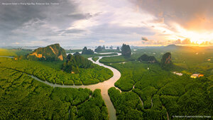 Mangrove forest in Phang Nga Bay, Andaman Sea, Thailand