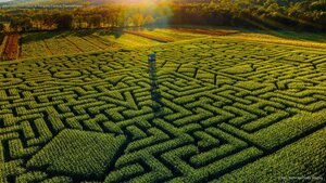 Mazezilla corn maze at Klingel's Farm in Pennsylvania