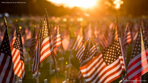 Field of flags set up for Memorial Day