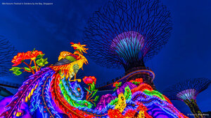 Mid-Autumn Festival in Gardens by the Bay, Singapore