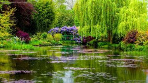 Monet's water garden in Giverny, France