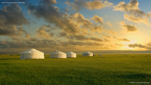 Yurts in the grasslands of Mongolia