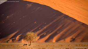 Sossusvlei sand dunes, Namib desert, Namibia