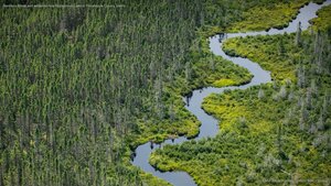 Norcross Brook and wetlands near Moosehead Lake in Piscataquis County, Maine