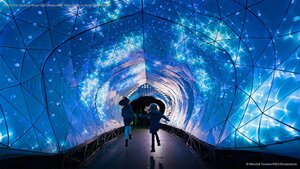 'PJ the Port Jackson Shark' light sculpture at Taronga Zoo in Sydney, Australia