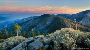Summit of Pine Mountain, Angeles National Forest, California