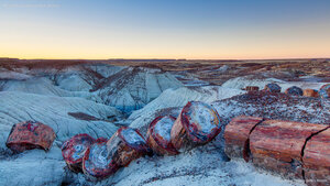 Petrified Forest National Park, Arizona