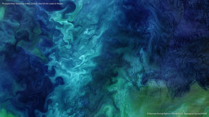 Phytoplankton blooming in the Chukchi Sea off the coast of Alaska