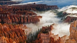Pinnacles and hoodoos with fog in Bryce Canyon National Park, Utah