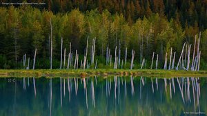 Portage Lake in Chugach National Forest, Alaska